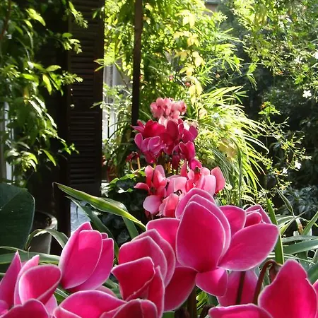 Cagliari House * Rom