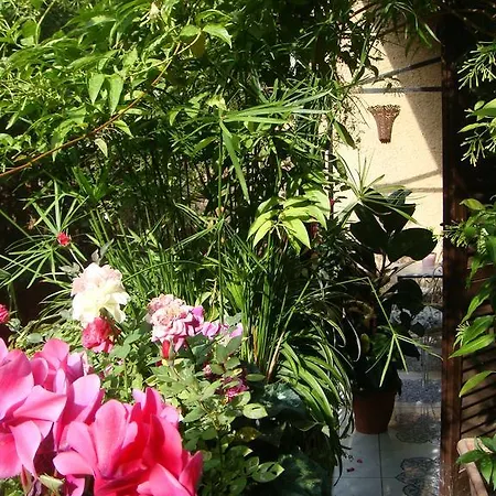 Cagliari House לינה וארוחת בוקר