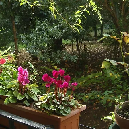 לינה וארוחת בוקר Cagliari House *