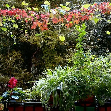 לינה וארוחת בוקר Cagliari House
